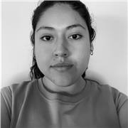 Clases particulares económicas de inglés para niños de primaria